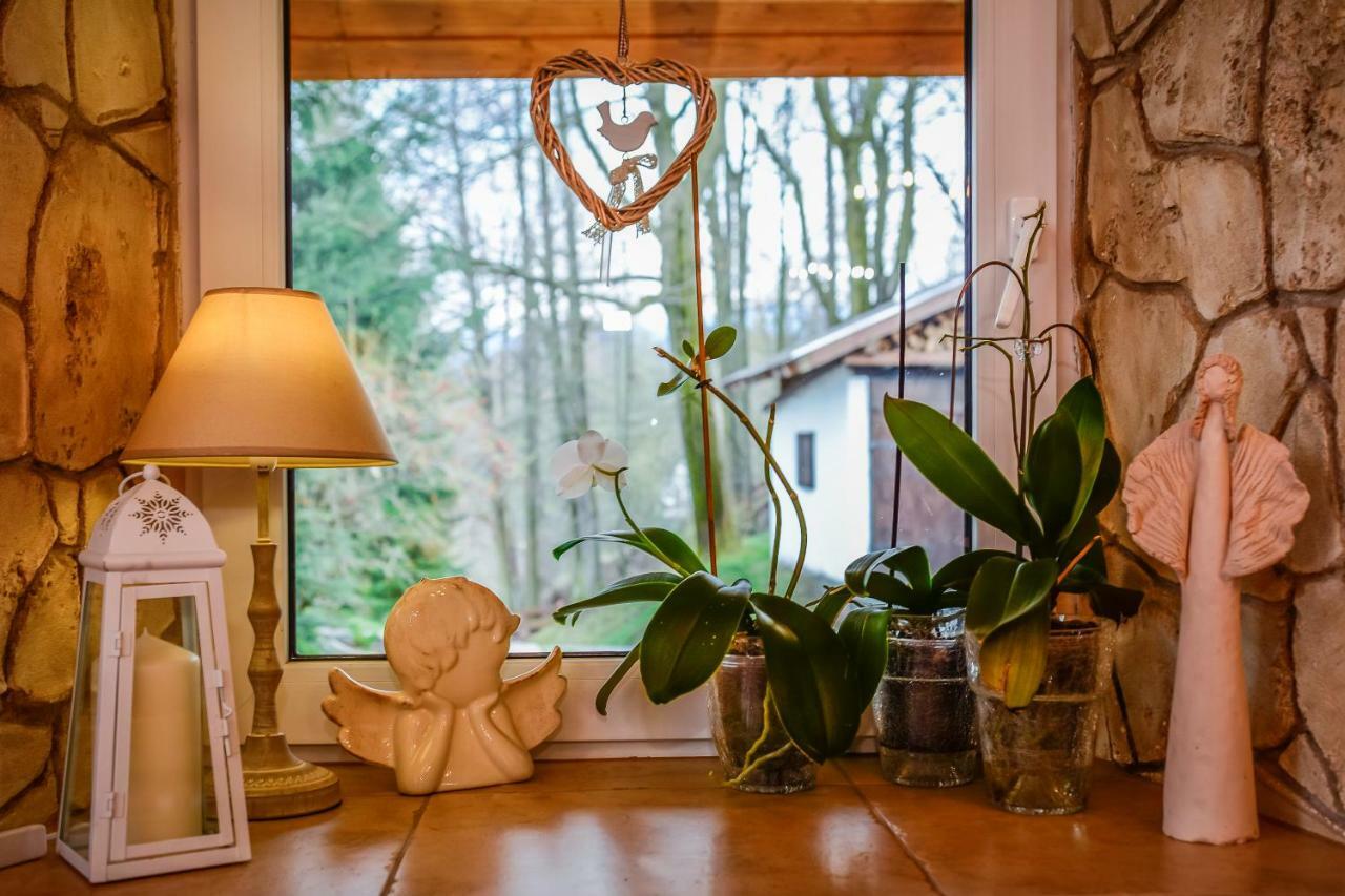 Bed and Breakfast Dom Na Klonowym Wzgorzu Stronie Śląskie Exterior foto